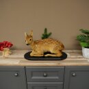 Rehkitz Präparat liegend älteres Reh Kitz Höhe 31 cm Bambi Tierpräparat 89.11.79