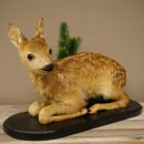 Rehkitz Präparat liegend älteres Reh Kitz Höhe 31 cm Bambi Tierpräparat 89.11.79