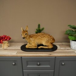 Rehkitz Präparat liegend älteres Reh Kitz Höhe 31 cm Bambi Tierpräparat 89.11.79