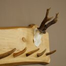 Geweih Garderobe mit 7 Hirschspitzen Haken auf Holzbrett 1x Rehgeweih Wandgarderobe Unikat 27.8.127