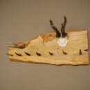 Geweih Garderobe mit 7 Hirschspitzen Haken auf Holzbrett 1x Rehgeweih + 1x Rehstange Wandgarderobe Unikat 27.8.129