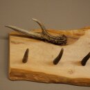 Geweih Garderobe mit 7 Hirschspitzen Haken auf Holzbrett 1x Rehgeweih + 1x Rehstange Wandgarderobe Unikat 27.8.129