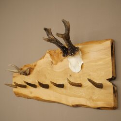 Geweih Garderobe mit 7 Hirschspitzen Haken auf Holzbrett 1x Rehgeweih + 1x Rehstange Wandgarderobe Unikat 27.8.129