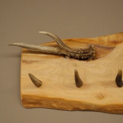 Geweih Garderobe mit 7 Hirschspitzen Haken auf Holzbrett 1x Rehgeweih + 1x Rehstange Wandgarderobe Unikat 27.8.129