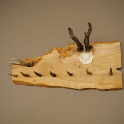 Geweih Garderobe mit 7 Hirschspitzen Haken auf Holzbrett 1x Rehgeweih + 1x Rehstange Wandgarderobe Unikat 27.8.129
