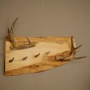 Geweih Garderobe mit 4 Hirschspitzen Haken auf Holzbrett 2x Weißwedelstangen Wandgarderobe Unikat 27.8.130