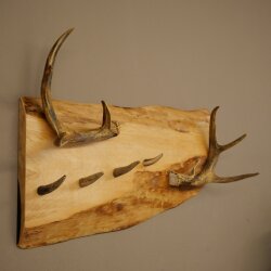 Geweih Garderobe mit 4 Hirschspitzen Haken auf Holzbrett 2x Weißwedelstangen Wandgarderobe Unikat 27.8.130