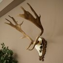 Bois de daim, hauteur 69 cm, bois de daim sculptés...