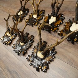 Rehgeweihe 7 Stück Rehböcke 5 x stärkere Geweihe 2 x sibirische Böcke Reh geschnitztem Trophäenschildern 22.1388