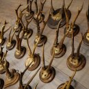 Rehgeweihe 23 x Rehböcke "antike" Reh Bock Geweih auf verschiedene Trophäenschilder 20.124