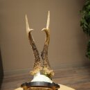 Rehgeweih Medaillenklasse Bronze CIC 114,03 IP kapitaler Bock Reh Geweih Gehörn geschnitztem Trophäenschild