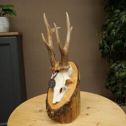 Rehgeweih Medaillenklasse Silber 435 g CIC 115,7 IP hochkapitaler Bock Reh Geweih Gehörn Schild