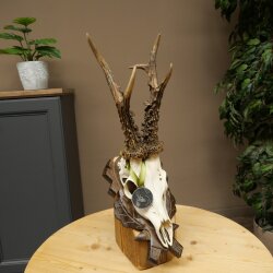 Rehgeweih Medaillenklasse Silber CIC 117,85 IP hochkapitaler Bock Reh Geweih Gehörn geschnitztem Schild