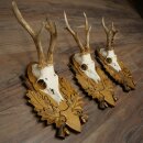 3-piece roebuck antlers, carved trophy plaques 22.1397
