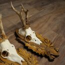 3-piece roebuck antlers, carved trophy plaques 22.1397