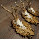 3-piece roebuck antlers, carved trophy plaques 22.1397
