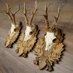 3-piece roebuck antlers, carved trophy plaques 22.1397