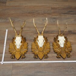 3-piece roebuck antlers, carved trophy plaques 22.1397