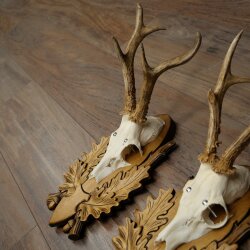 3-piece roebuck antlers, carved trophy plaques 22.1397