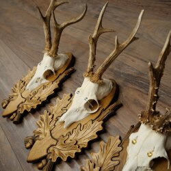 3-piece roebuck antlers, carved trophy plaques 22.1397