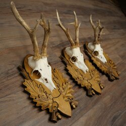 3-piece roebuck antlers, carved trophy plaques 22.1397