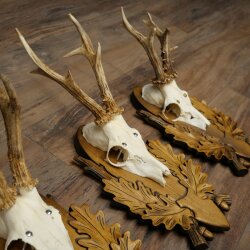 3-piece roebuck antlers, carved trophy plaques 22.1397