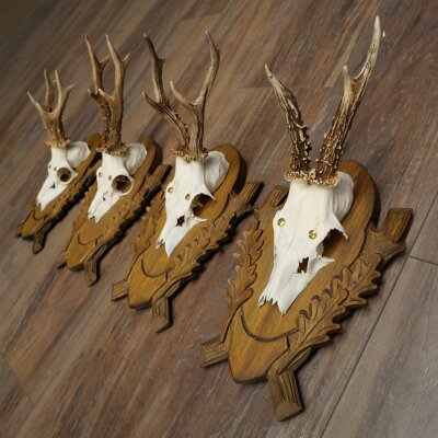 4-piece roebuck antlers, carved trophy plaques 22.1405