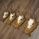 4-piece roebuck antlers, carved trophy plaques 22.1405