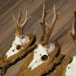 4-piece roebuck antlers, carved trophy plaques 22.1405