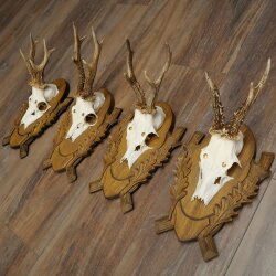 4-piece roebuck antlers, carved trophy plaques 22.1405