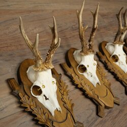4-piece roebuck antlers, carved trophy plaques 22.1405
