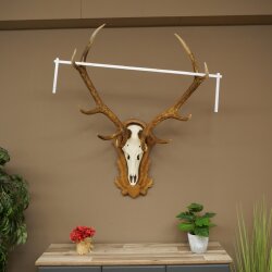 Red deer antlers, 10-point stag, height 111 cm, antlers mounted on a carved trophy shield
