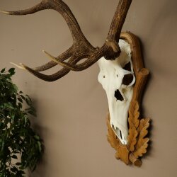 Rothirschgeweih 12 ender Hirsch Höhe 119 cm Hirschgeweih Geweih auf geschnitztem Trophäenschild