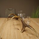 Schnapsanbieter 5 große Gläser Steckglas mit Stiel auf Rothirschstange Geschenk 27.60.2.63