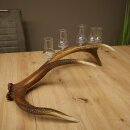 Schnapsanbieter 5 große Gläser Steckglas mit Stiel auf Rothirschstange Geschenk 27.60.2.63