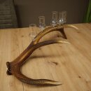 Schnapsanbieter 5 große Gläser Steckglas mit Stiel auf Rothirschstange Geschenk 27.60.2.63
