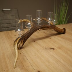 Schnapsanbieter 5 große Gläser Steckglas mit Stiel auf Rothirschstange Geschenk 27.60.2.63