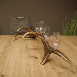 Schnapsanbieter 5 große Gläser Steckglas mit Stiel auf Rothirschstange Geschenk 27.60.2.63