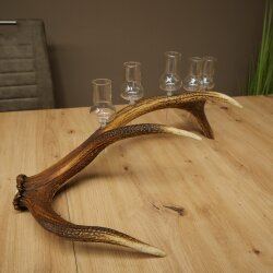Schnapsanbieter 5 große Gläser Steckglas mit Stiel auf Rothirschstange Geschenk 27.60.2.63