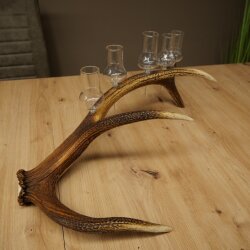 Schnapsanbieter 5 große Gläser Steckglas mit Stiel auf Rothirschstange Geschenk 27.60.2.63