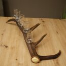 Set da liquore: 5 bicchieri alti con stelo su un corno di...