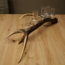 Schnapsanbieter 5 große Gläser Steckglas mit Stiel auf Rothirschstange Geschenk 27.60.2.64
