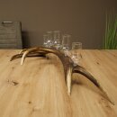 Schnapsanbieter 5 große Gläser Steckglas mit Stiel auf Rothirschstange Geschenk 27.60.2.64