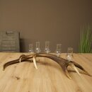 Schnapsanbieter 5 große Gläser Steckglas mit Stiel auf Rothirschstange Geschenk 27.60.2.64