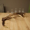 Schnapsanbieter 5 große Gläser Steckglas mit Stiel auf Rothirschstange Geschenk 27.60.2.64