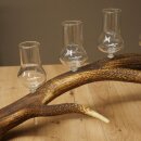 Schnapsanbieter 5 große Gläser Steckglas mit Stiel auf Rothirschstange Geschenk 27.60.2.64