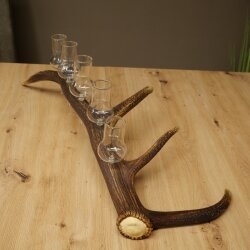 Schnapsanbieter 5 große Gläser Steckglas mit Stiel auf Rothirschstange Geschenk 27.60.2.64