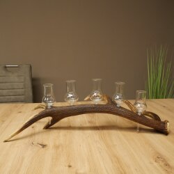 Schnapsanbieter 5 große Gläser Steckglas mit Stiel auf Rothirschstange Geschenk 27.60.2.64