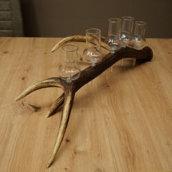 Schnapsanbieter 5 große Gläser Steckglas mit Stiel auf Rothirschstange Geschenk 27.60.2.64