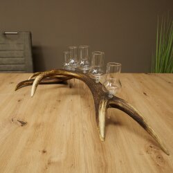 Schnapsanbieter 5 große Gläser Steckglas mit Stiel auf Rothirschstange Geschenk 27.60.2.64